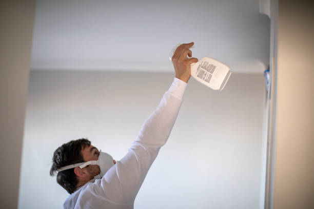 Best Mold Removal Company Near Me  in Volo, IL